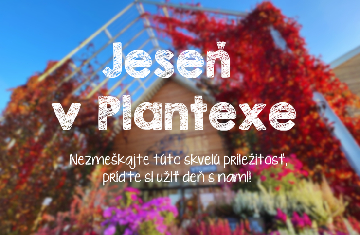 Jeseň v Plantexe