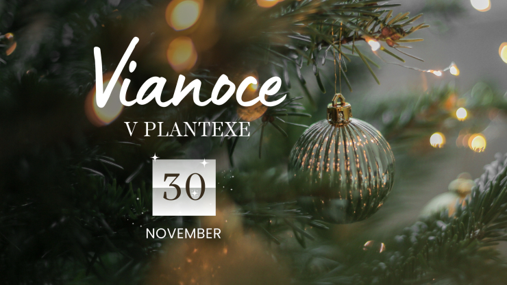 Vianoce v Plantexe